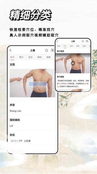 经络穴位标准指南图片