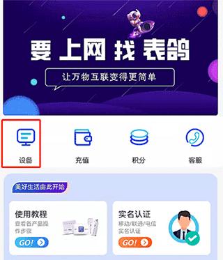 表鸽2