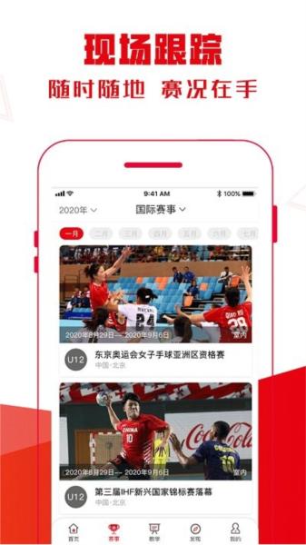 全手球图片3