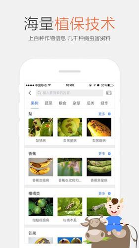 小农人
