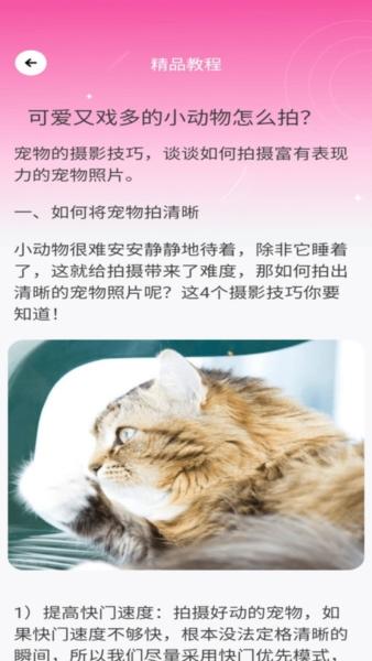 千颜秀2