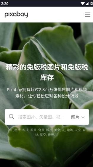 pixabay图片1