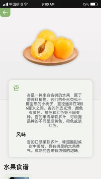 指尖果园 安卓版v2.4 安卓版v2.4