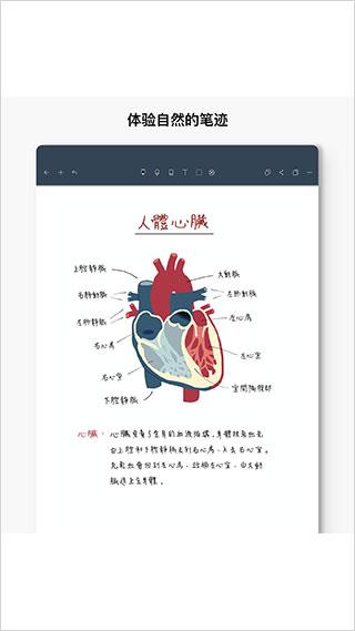 noteshelf安卓版免费