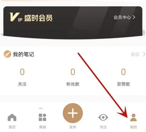 盛时图7