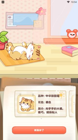 桌面喵6