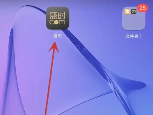 盛时图6