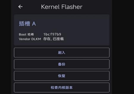 Kernel Flasher weishu修改版图片1