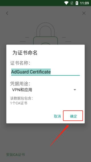 Adguard图片13