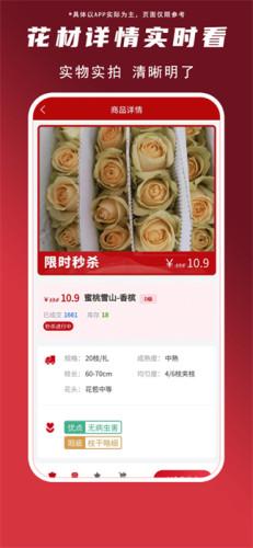花盛锦图片
