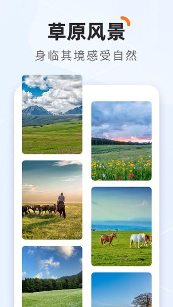 栖遇相机app