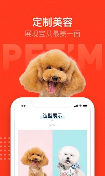 宠物家图片