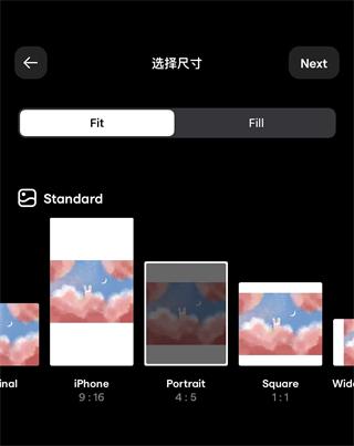 Instasize图9