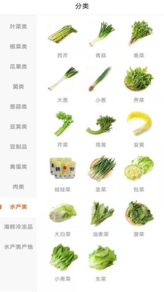 希夷图片
