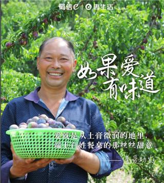 蜀信e惠生活图片9