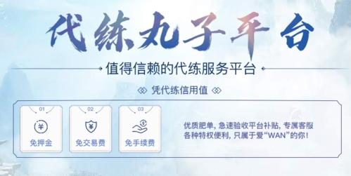代练丸子1
