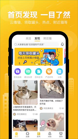 友猫1