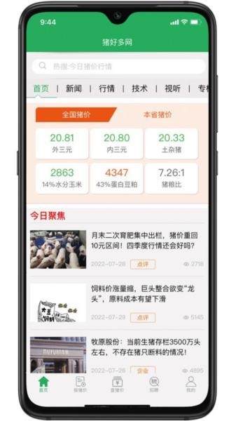 猪好多图片3