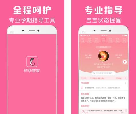 怀孕管家图片