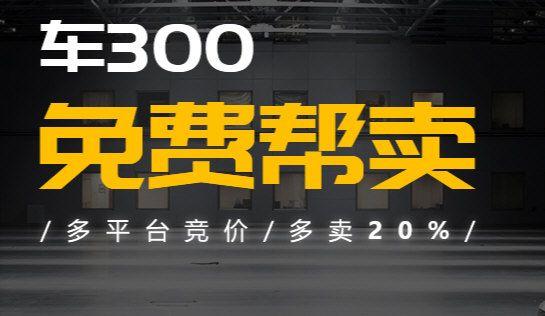 车三百图片1