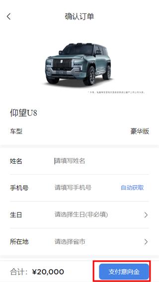 仰望汽车图片10