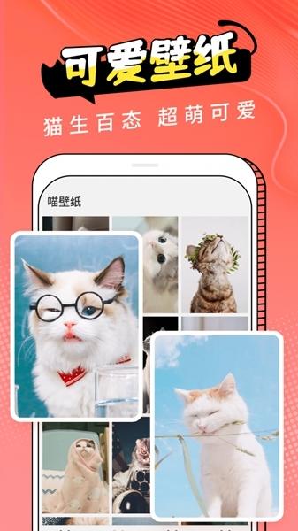 pet猫翻译1