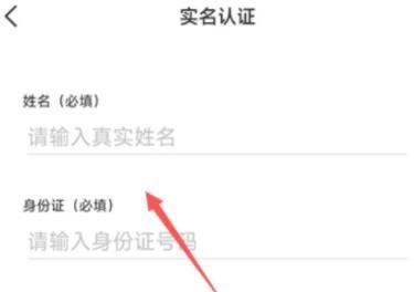 先锋鸟图片10