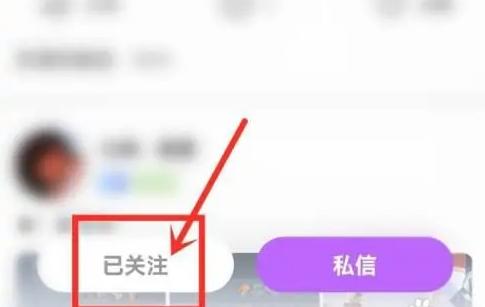 奇秀17