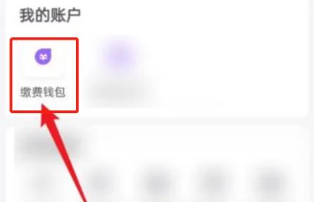 云缴费14
