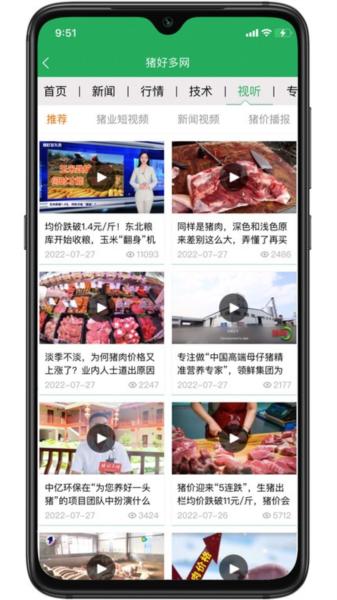 猪好多图片4