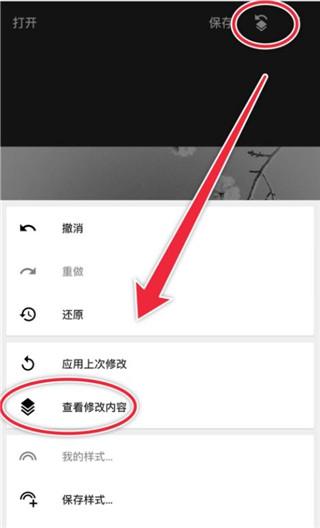 Snapseed图片15