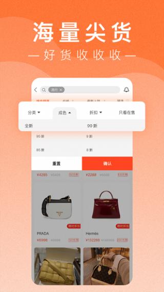 小桔马图片2
