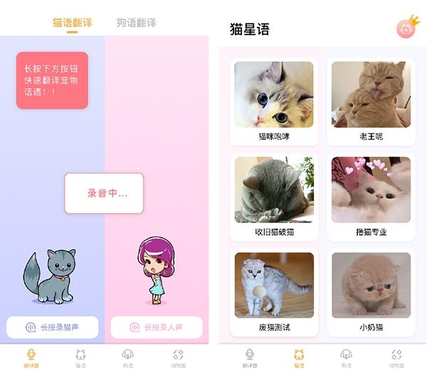 猫语翻译大师图片