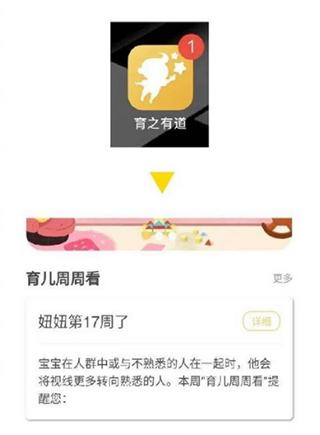 育之有道app4