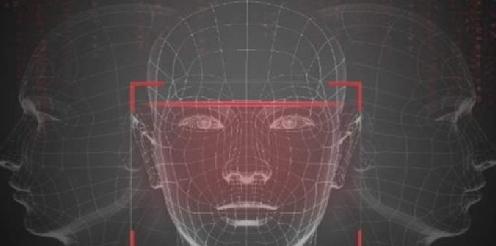 face score图片2