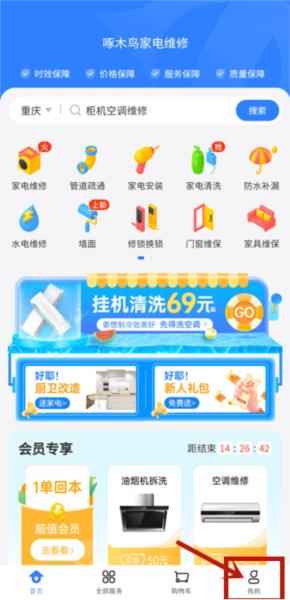 啄木鸟维修师傅3