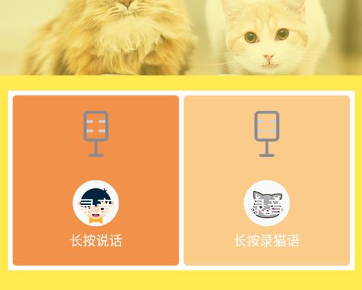 猫语翻译官图片1