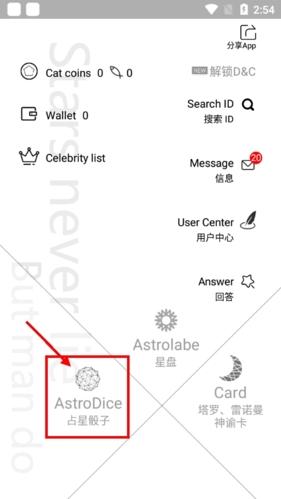 占星猫图片5