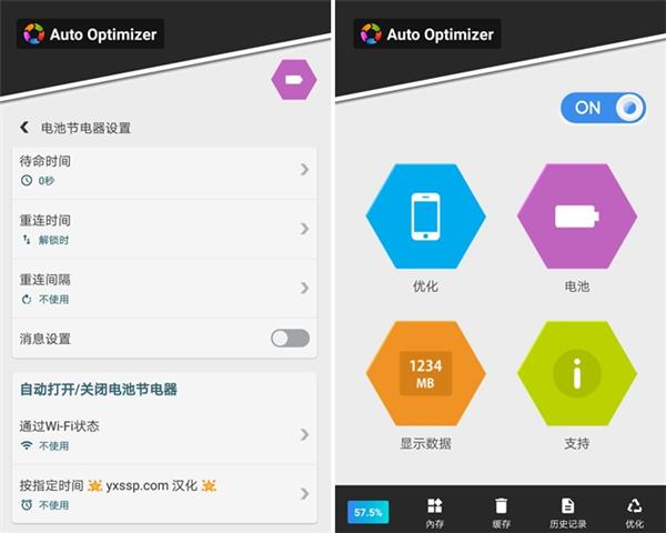 Auto Optimizer1
