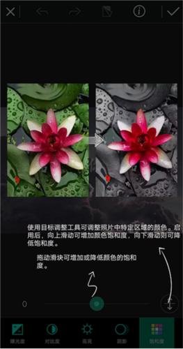 相片大师11