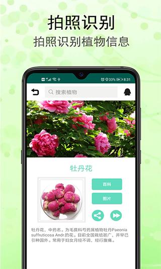 识花草1
