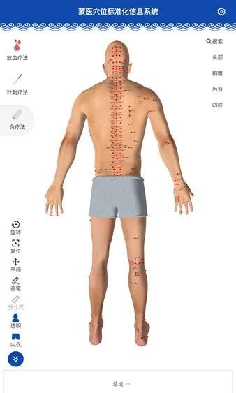 蒙医穴位标准化信息系统图片
