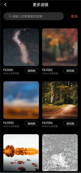 Dazz相机专业版10