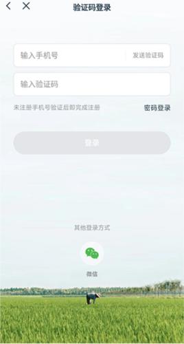 一米市集4