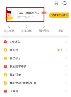 弹个车图片4