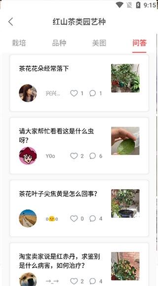 花信5