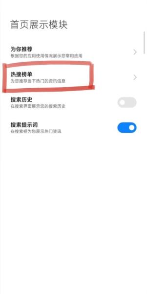 小米搜索11