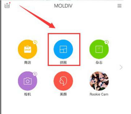 moldiv图片19