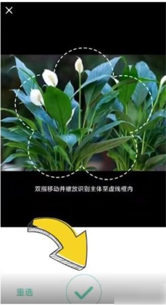 形色图片11