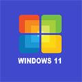 win11模拟器 最新中文版v0.1